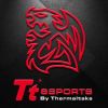 Tt eSPORTS